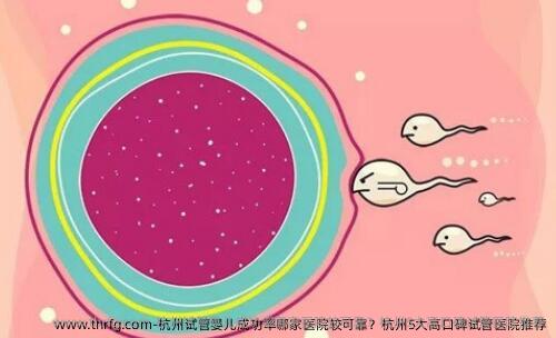 杭州试管婴儿成功率哪家医院较可靠？杭州5大高口碑试管医院推荐