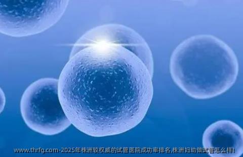 2025年株洲较优秀的试管医院成功率排名,株洲妇幼做试管怎么样！