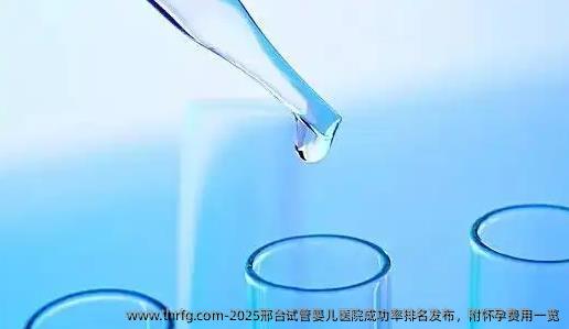 2025邢台试管婴儿医院成功率排名发布，附怀孕费用一览