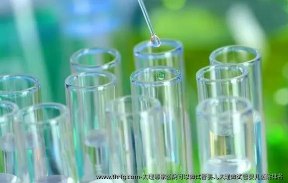 大理哪家医院可以做试管婴儿大理做试管婴儿医院排名
