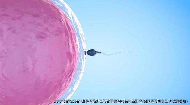 哈萨克斯坦三代试管医院排名较新汇总(哈萨克斯坦第三代试管费用)