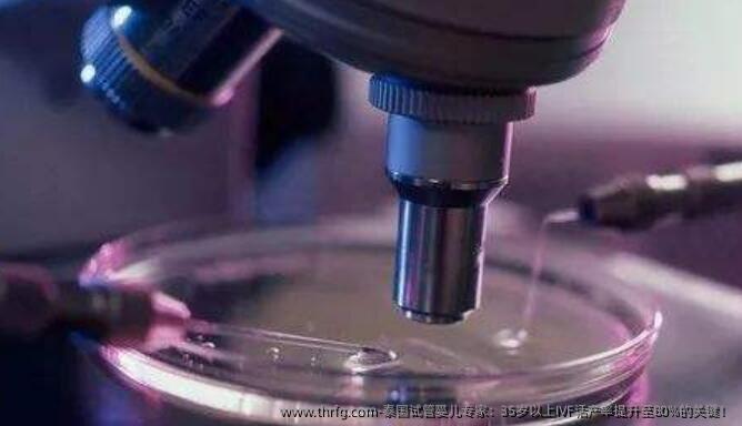泰国试管婴儿专家：35岁以上IVF活产率提升至80%的关键！