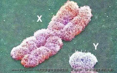 5月大女婴腹中取出寄生胎，专家呼吁：IVF是健康生育的保障！
