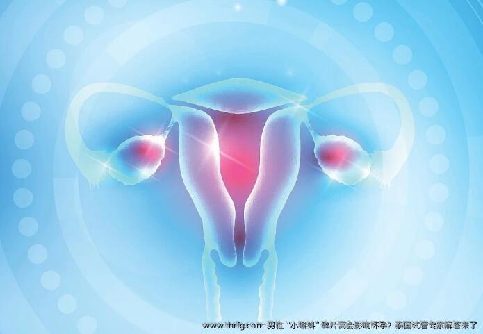 男性“小蝌蚪”碎片高会影响怀孕？泰国试管专家解答来了