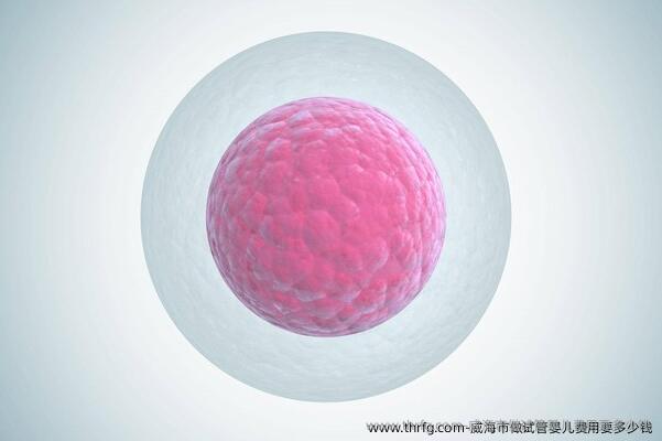 威海市做试管婴儿费用要多少钱