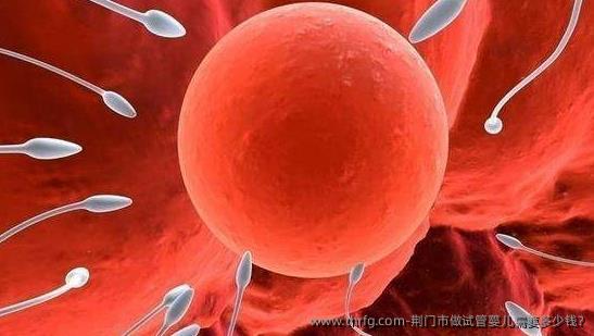 荆门市做试管婴儿需要多少钱?