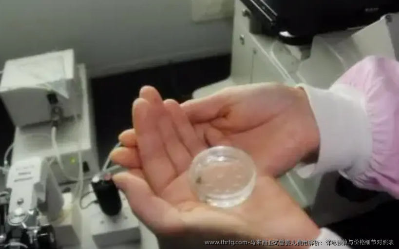 马来西亚试管婴儿费用解析：详尽预算与价格细节对照表