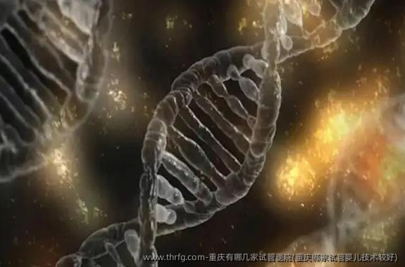 重庆有哪几家试管医院(重庆哪家试管婴儿技术较好)