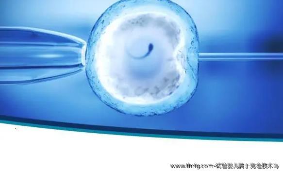 试管婴儿属于克隆技术吗