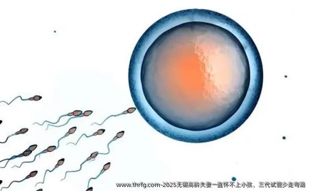 2025无锡高龄夫妻一直怀不上小孩，三代试管少走弯路