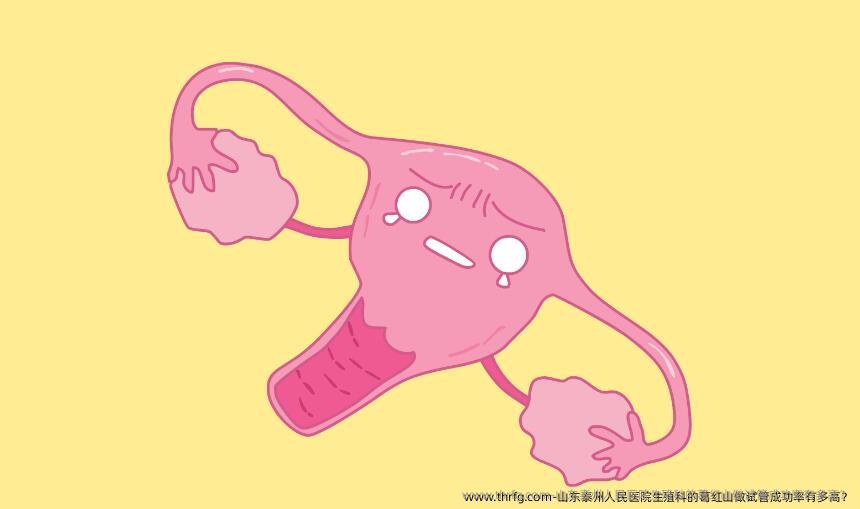山东泰州人民医院生殖科的葛红山做试管成功率有多高？