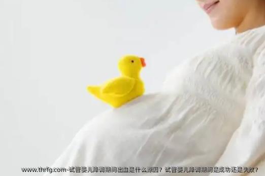 试管婴儿降调期间出血是什么原因？试管婴儿降调期间是成功还是失败？