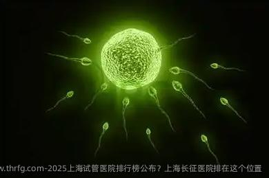 2025上海试管医院排行榜公布？上海长征医院排在这个位置