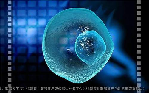 试管婴儿卵泡取出疼不疼？试管婴儿卵泡取出前后要做哪些准备工作？试管婴儿卵泡取出前后的注意事项有哪些？