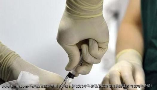 马来西亚试管费用多少钱？附2025年马来西亚试管婴儿医院排名与成功率分析！