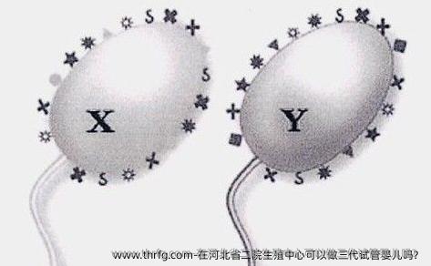 在河北省二院生殖中心可以做三代试管婴儿吗？