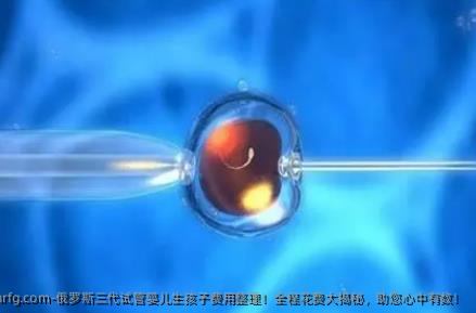 俄罗斯三代试管婴儿生孩子费用整理！全程花费大揭秘，助您心中有数！