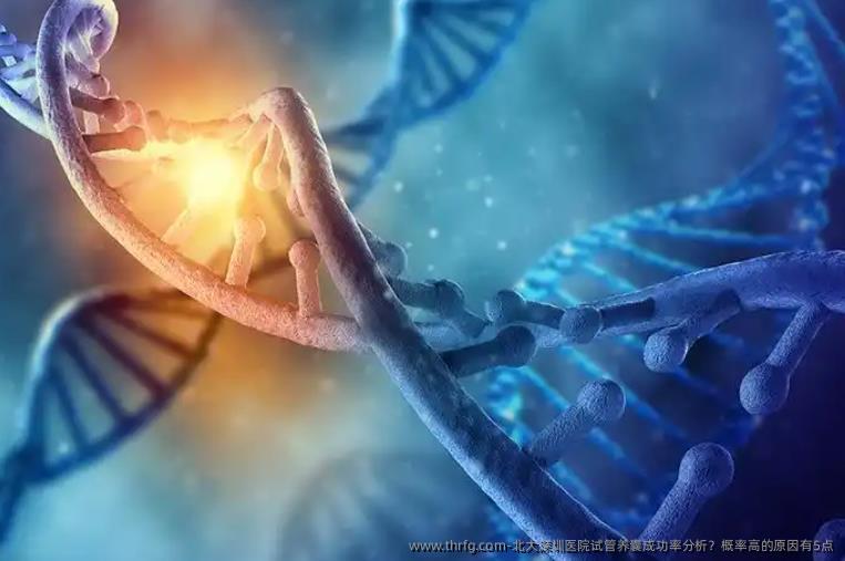 北大深圳医院试管养囊成功率分析？概率高的原因有5点
