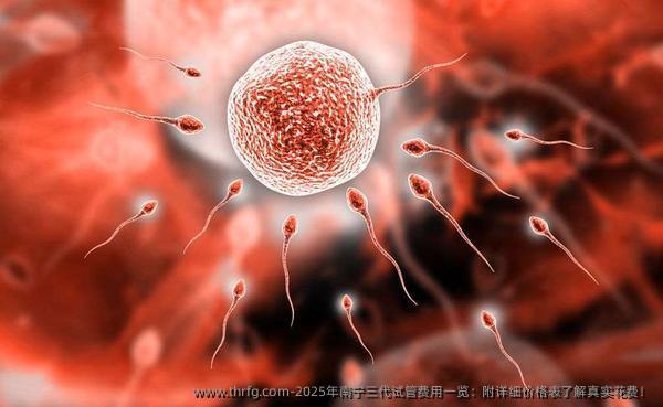 2025年南宁三代试管费用一览：附详细价格表了解真实花费！