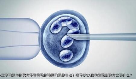 难孕问题中的男方不容忽视的隐匿问题是什么？精子DNA损伤常规处理方式是什么？