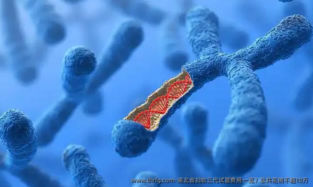 湖北省妇幼三代试管费用一览？总共花销不超10万