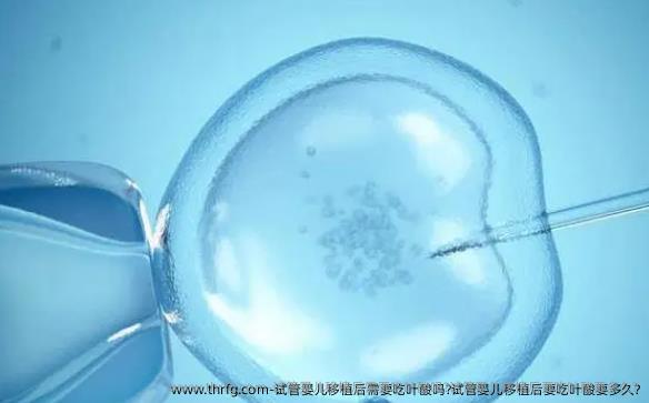 试管婴儿移植后需要吃叶酸吗?试管婴儿移植后要吃叶酸要多久?