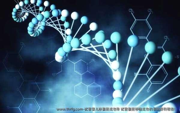 试管婴儿移囊胚成功率 试管囊胚移植成功的表现都有哪些！