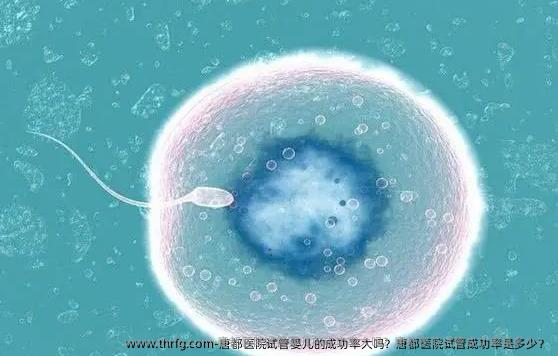 唐都医院试管婴儿的成功率大吗？唐都医院试管成功率是多少？