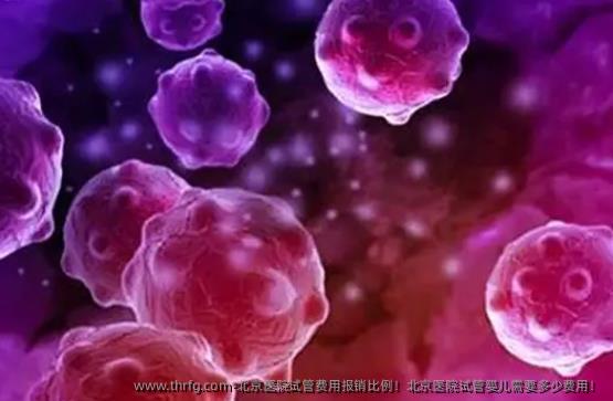 北京医院试管费用报销比例！北京医院试管婴儿需要多少费用！