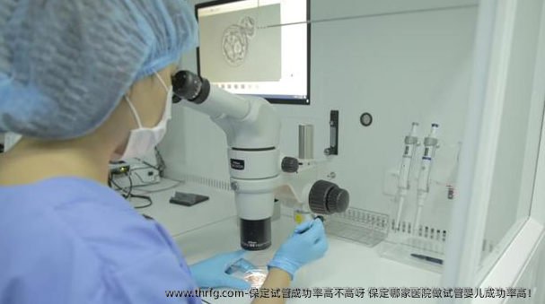 保定试管成功率高不高呀 保定哪家医院做试管婴儿成功率高！