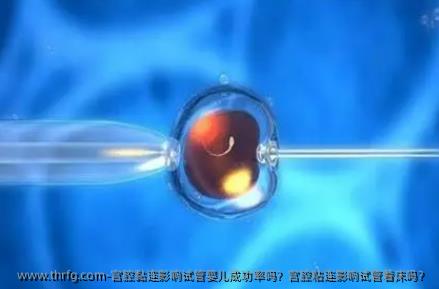 宫腔黏连影响试管婴儿成功率吗？宫腔粘连影响试管着床吗？