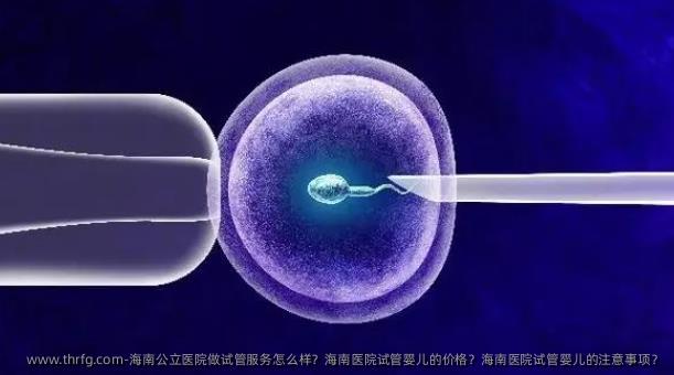 海南公立医院做试管服务怎么样？海南医院试管婴儿的价格？海南医院试管婴儿的注意事项？