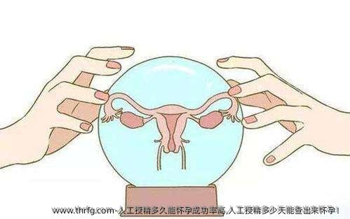 人工授精多久能怀孕成功率高,人工授精多少天能查出来怀孕！