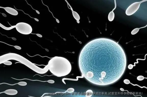 试管怎么查宫外孕成功率高,试管宫外怀孕有哪些前兆！