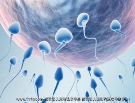 试管婴儿冻胎成功率高 试管婴儿冻胚的成功率是多少！