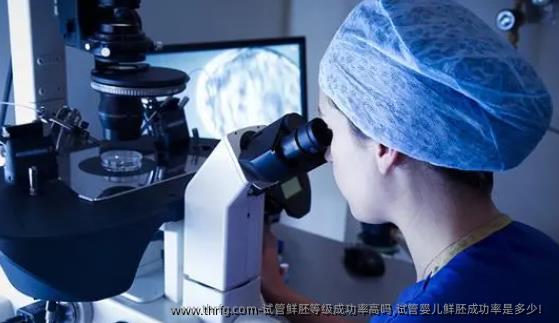 试管鲜胚等级成功率高吗,试管婴儿鲜胚成功率是多少！