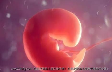合肥试管婴儿医院排行榜！合肥试管婴儿费用大概要多少钱！