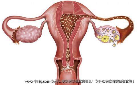 为什么要到医院做试管婴儿！为什么医院都建议做试管！