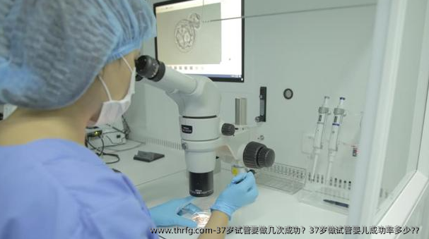 37岁试管要做几次成功？37岁做试管婴儿成功率多少?？