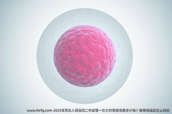 2025年苏北人民医院二代试管一次大约需要花费多少钱？费用明细是怎么样的