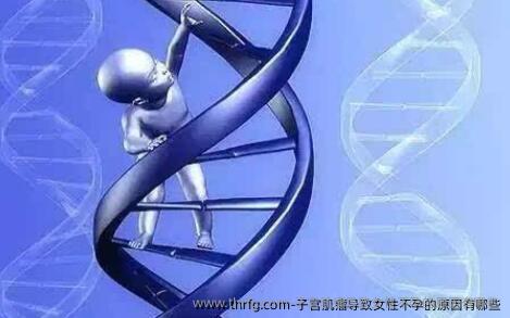 子宫肌瘤导致女性不孕的原因有哪些
