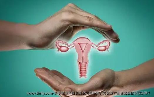夫妻都正常做试管成功率高吗？夫妻双方都正常做试管成功率？