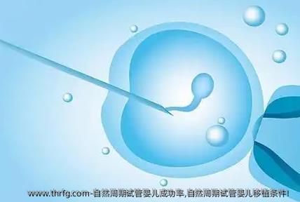 自然周期试管婴儿成功率,自然周期试管婴儿移植条件！