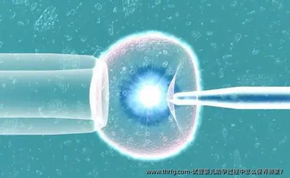 试管婴儿助孕过程中怎么保养卵巢？