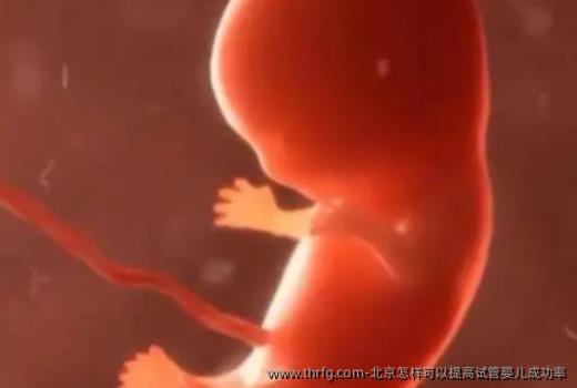 北京怎样可以提高试管婴儿成功率