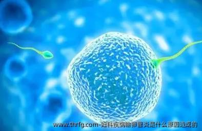 妇科疾病输卵管炎是什么原因造成的