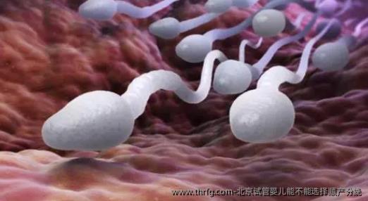 北京试管婴儿能不能选择顺产分娩