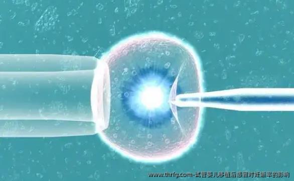 试管婴儿移植后感冒对妊娠率的影响