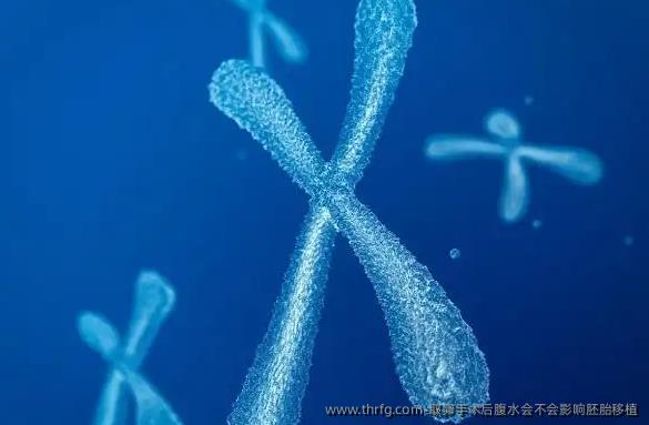 卵泡取出手术后腹水会不会影响胚胎移植