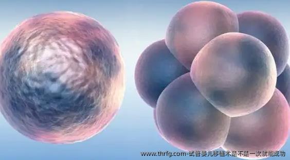 试管婴儿移植术是不是一次就能成功